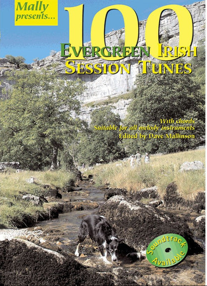 100 Evergreen Irish Session Tunes book by Dave Mallinson