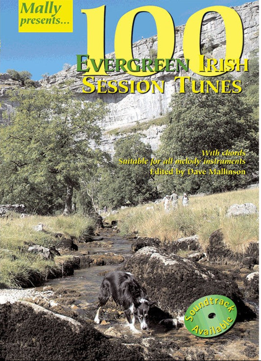 100 Evergreen Irish Session Tunes book by Dave Mallinson