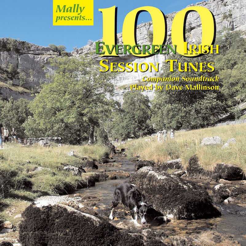 100 Evergreen Irish Session Tunes soundtrack by Dave Mallinson