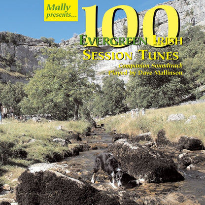 100 Evergreen Irish Session Tunes soundtrack by Dave Mallinson