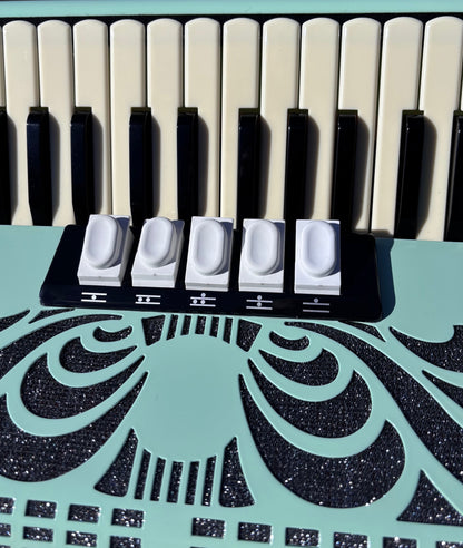 34 Key 72 Bass LMM Accordion | Kingfisher Sourced Custom Green