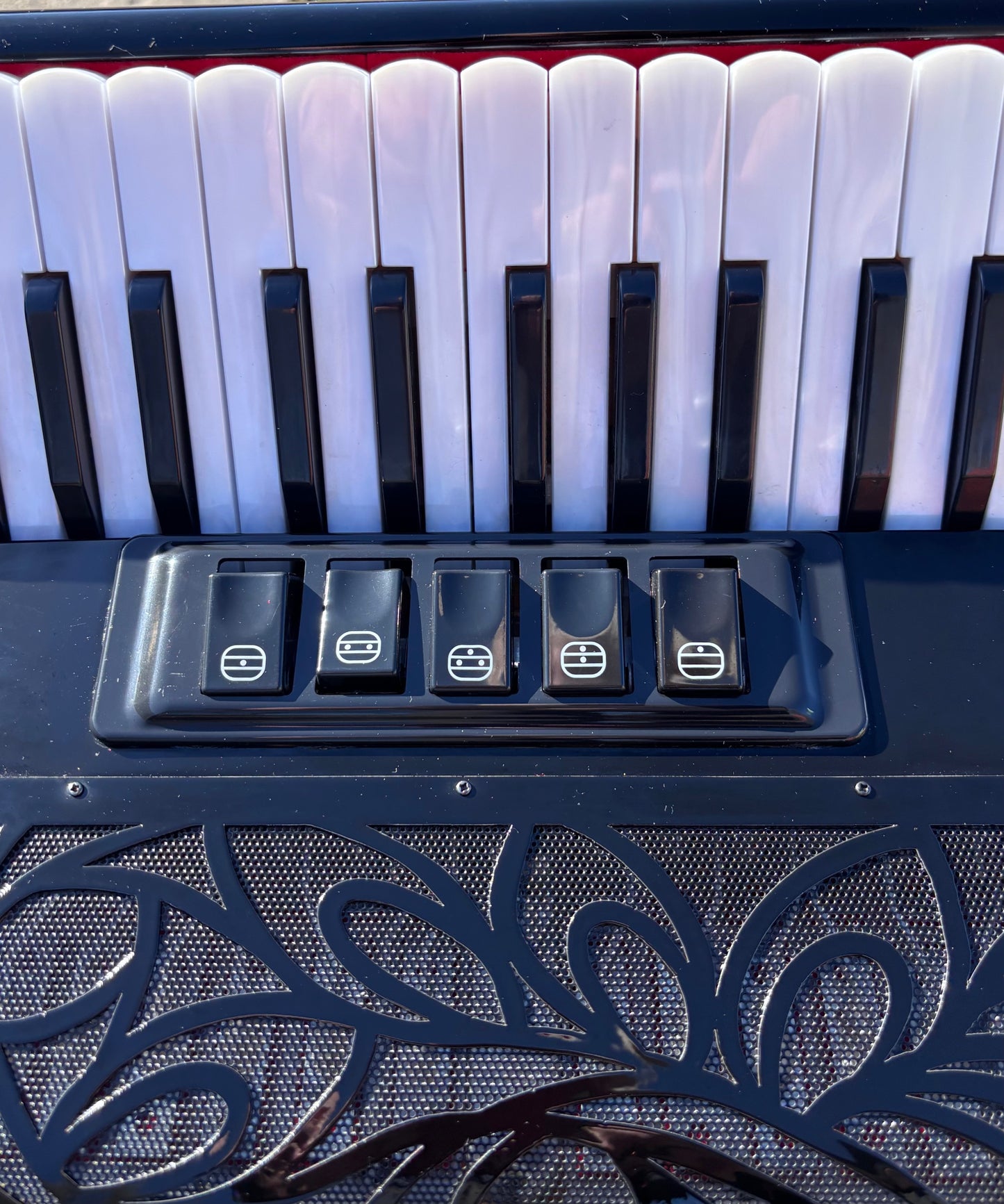 Kingfisher-Sourced Accordion – LMM | 60 Bass | 5 Treble Registers (Limited Stock)