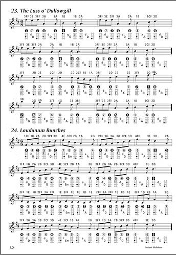 Instant Melodeon